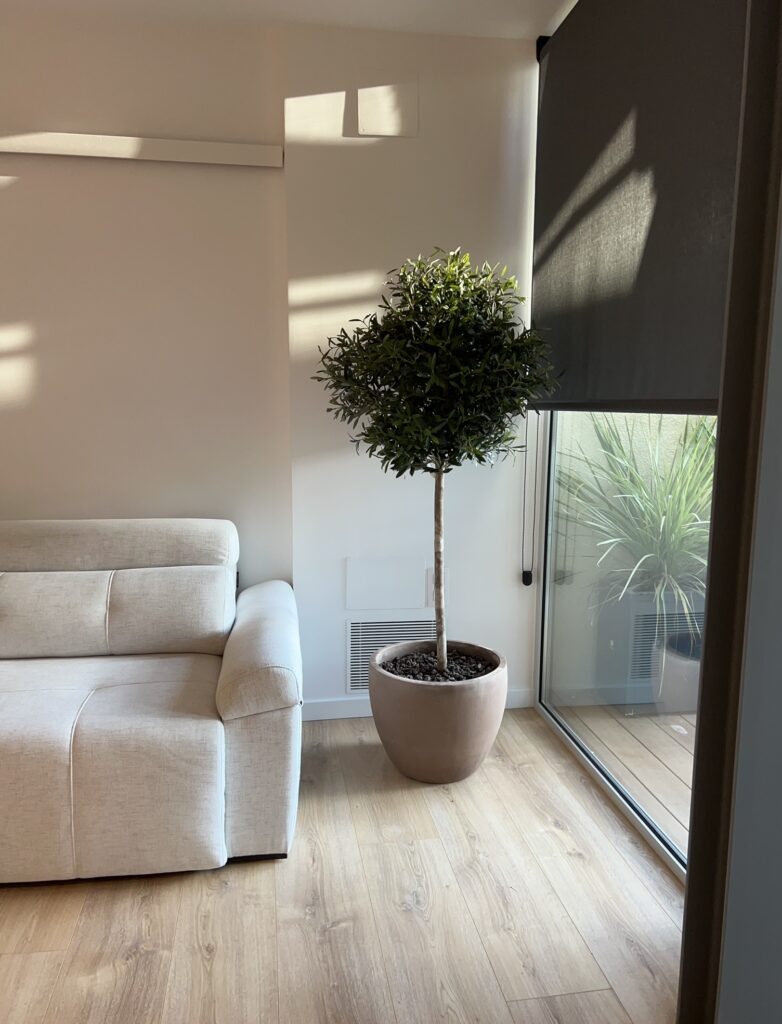 C/Jacint Verdaguer, Sabadell